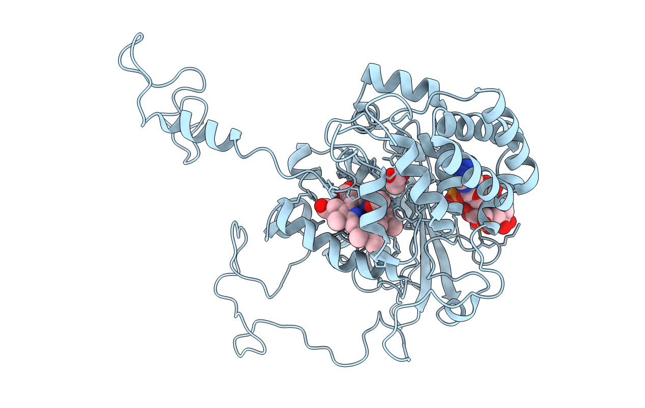 1GWH image