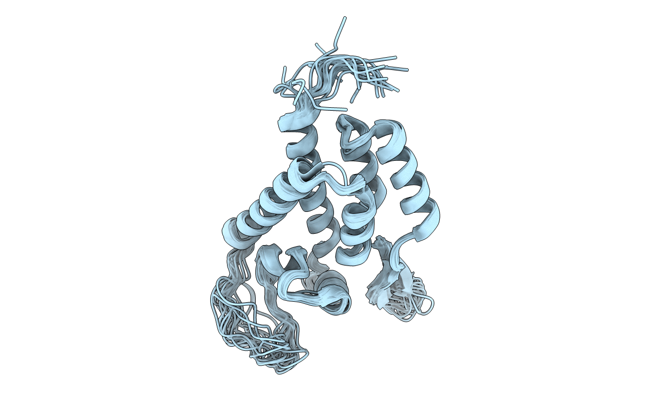 1GWP image
