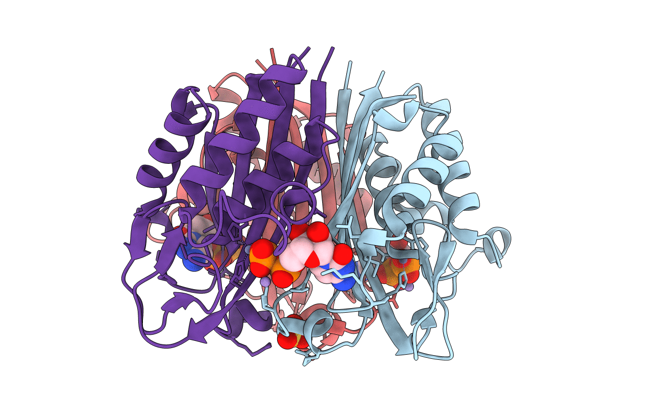 1GX1 image