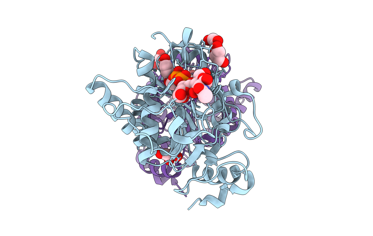 1GX4 image