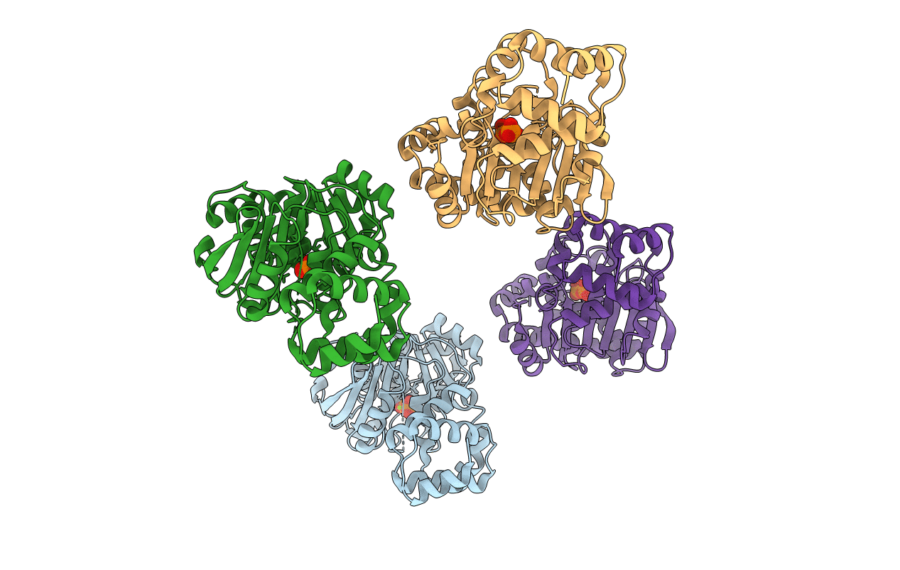 1GXB image