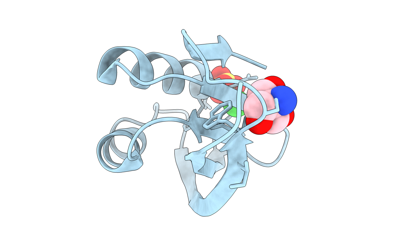 1GXT image