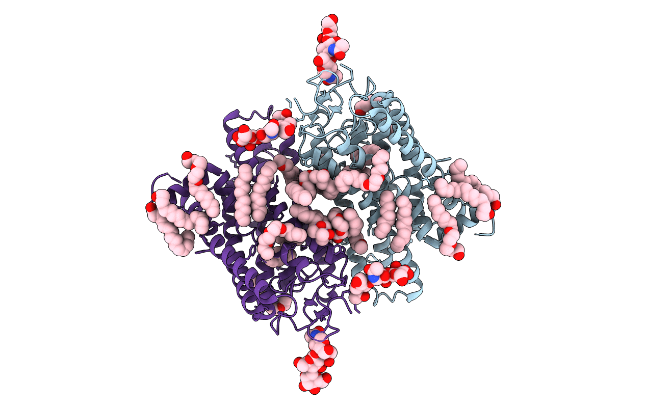 1GZM image