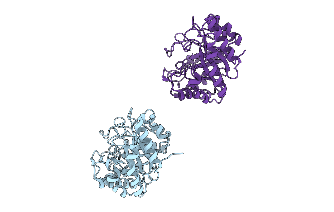 1H1N image