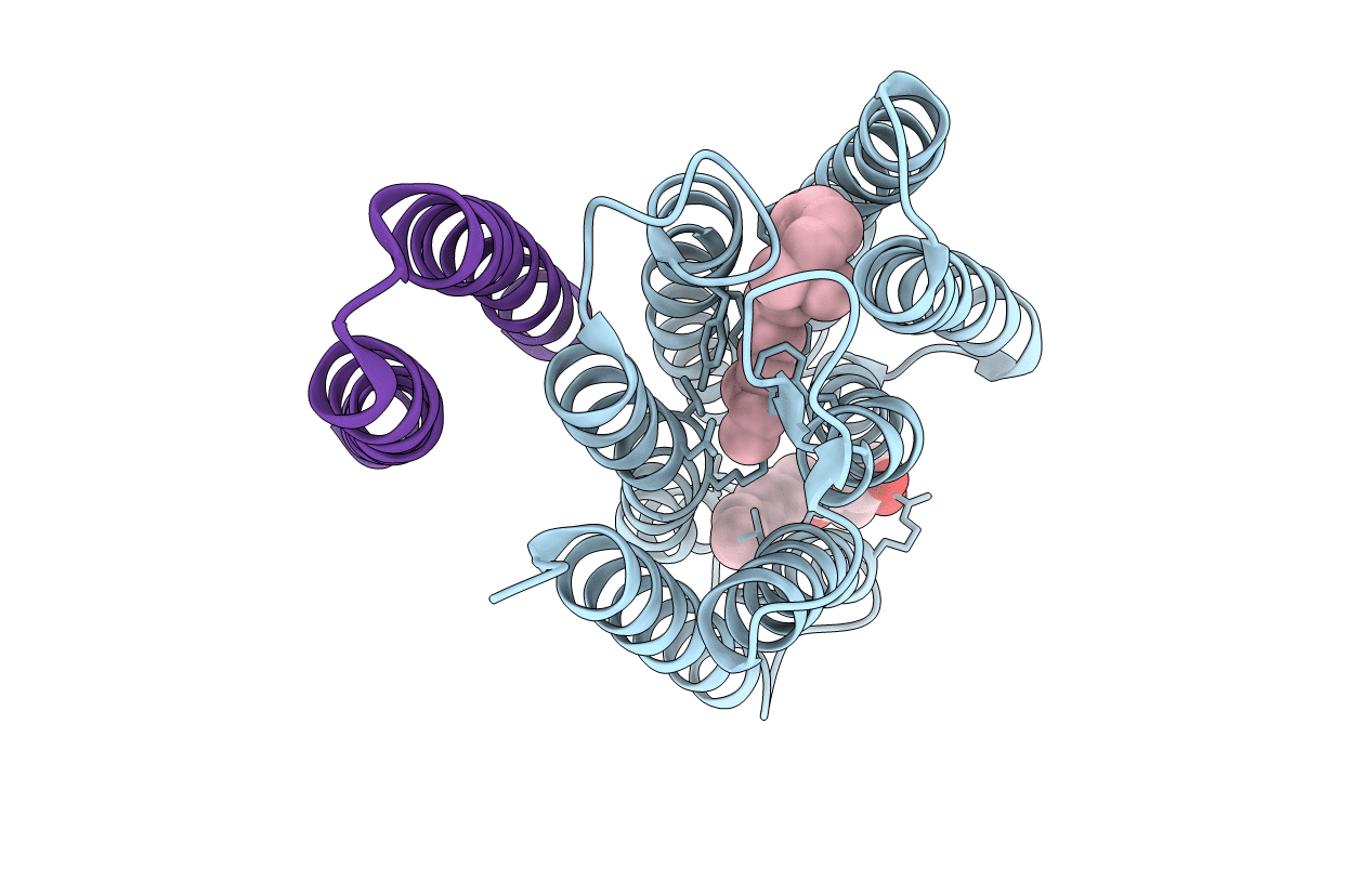 1H2S image