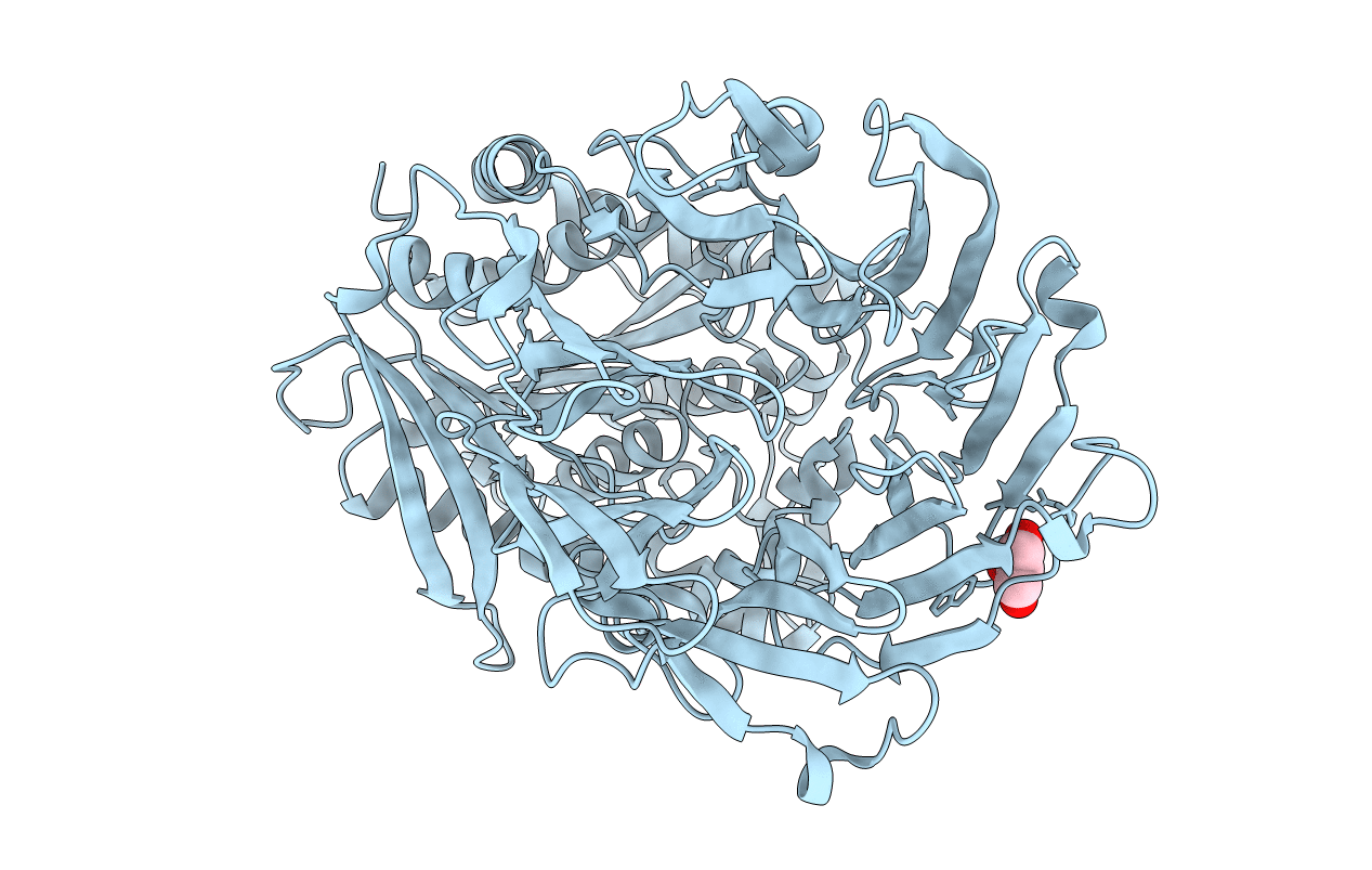 1H2W image