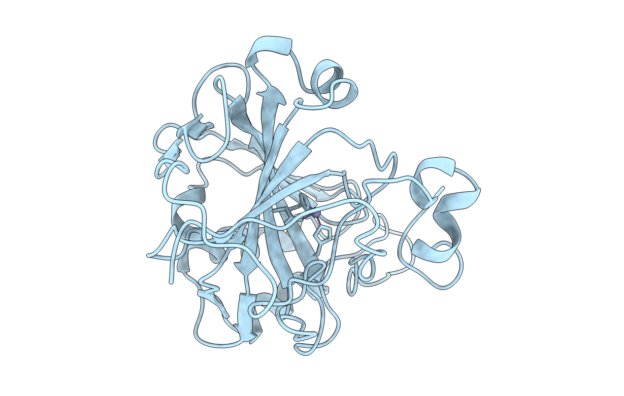 1H9N image