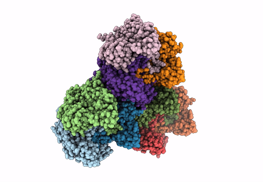 1HB5 image