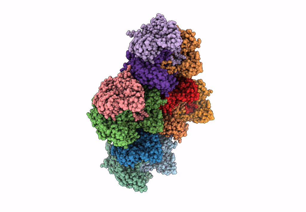 1HB9 image