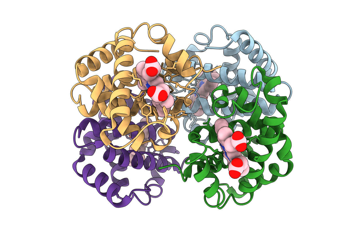 1HBA image
