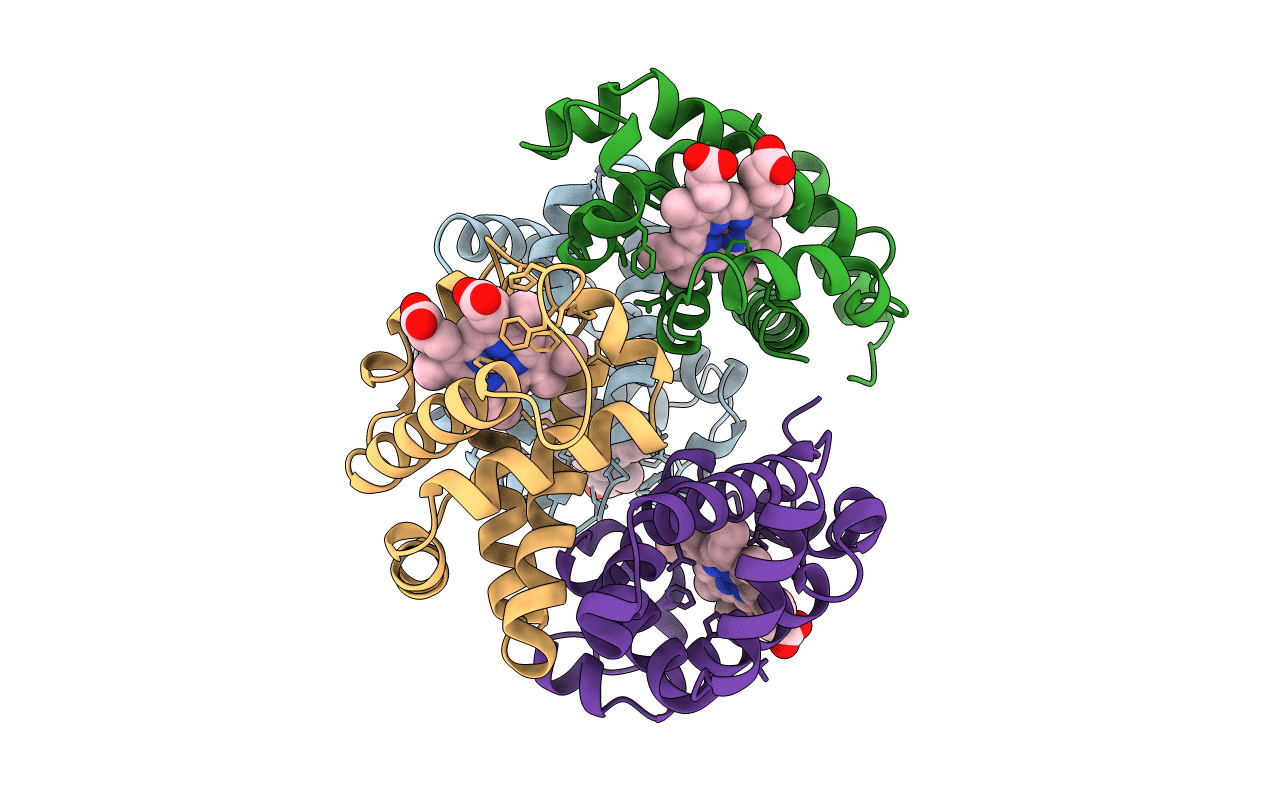 1HBR image