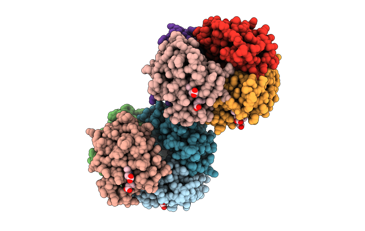 1hbs image