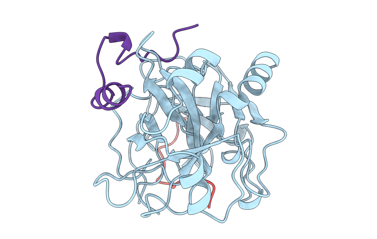 1HBT image