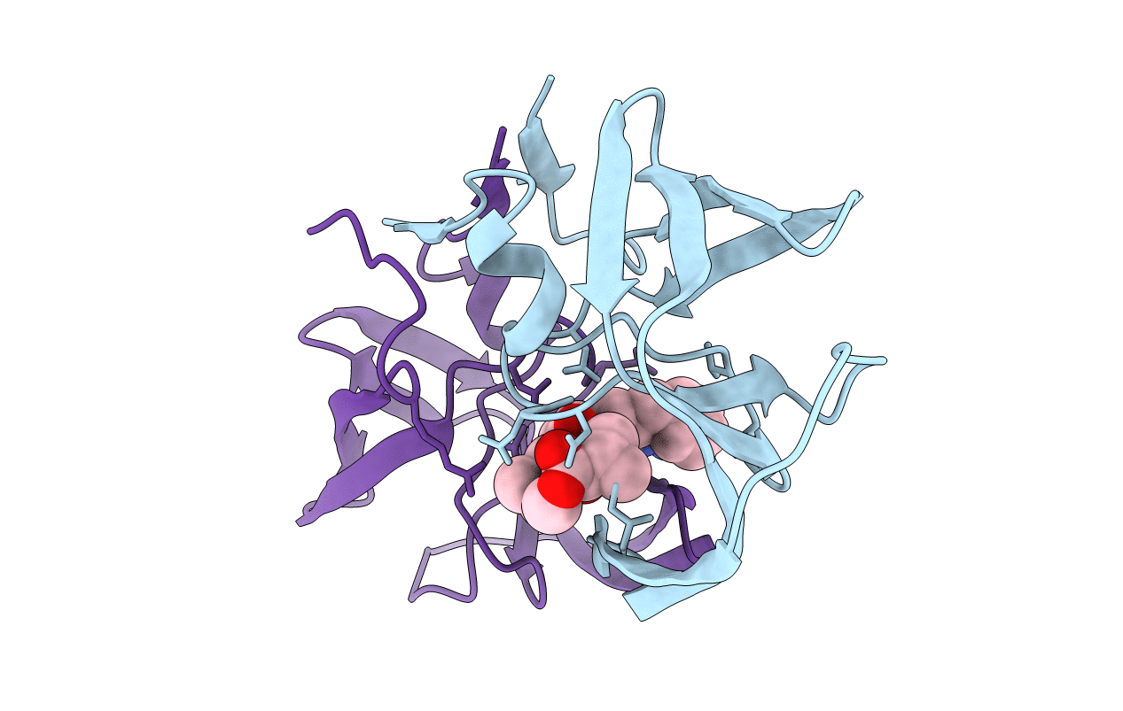 1HBV image
