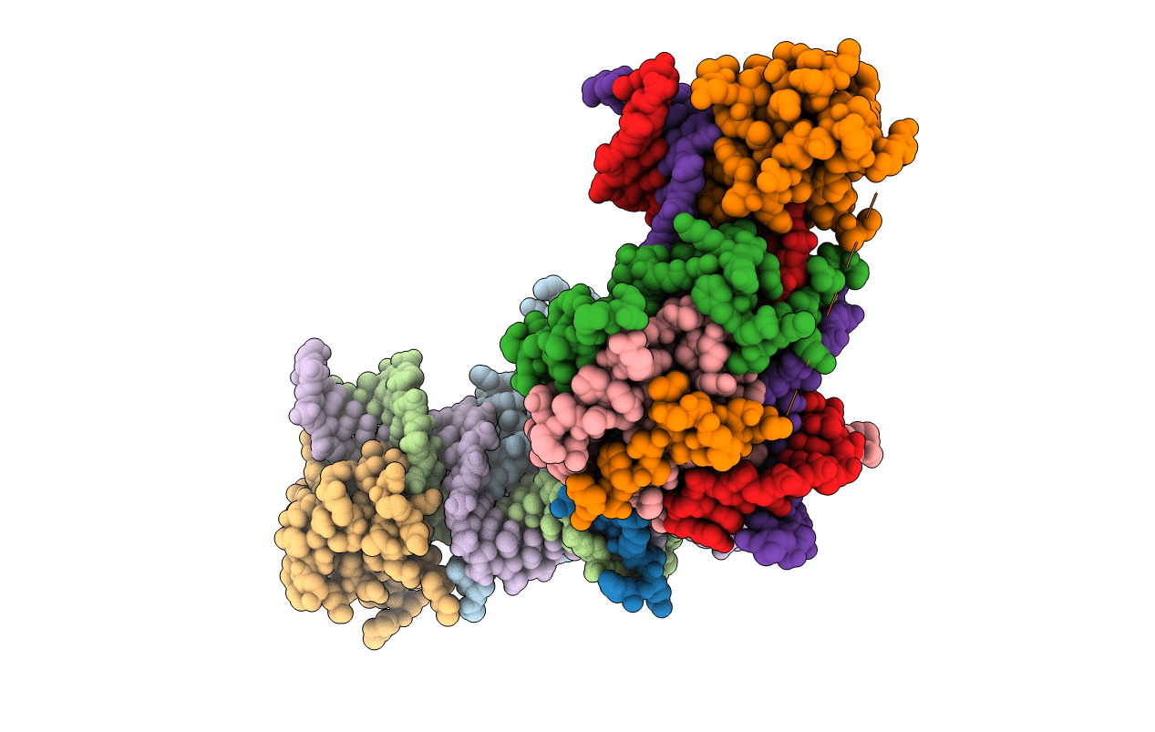1HBX image