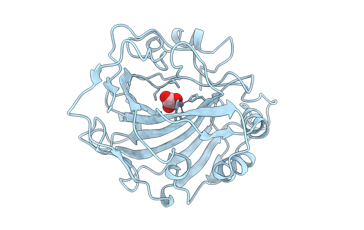 1HCB image