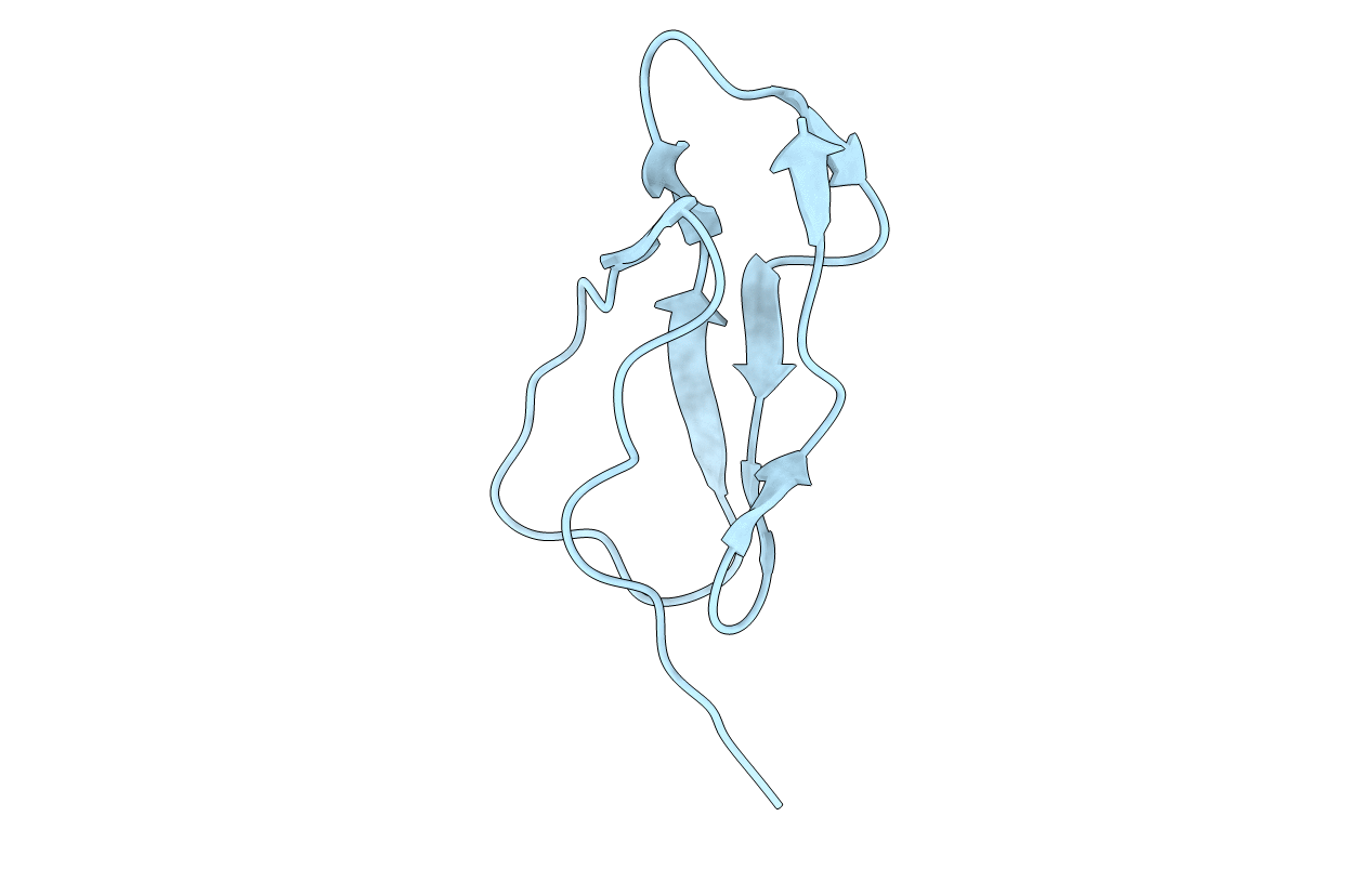 1HCC image