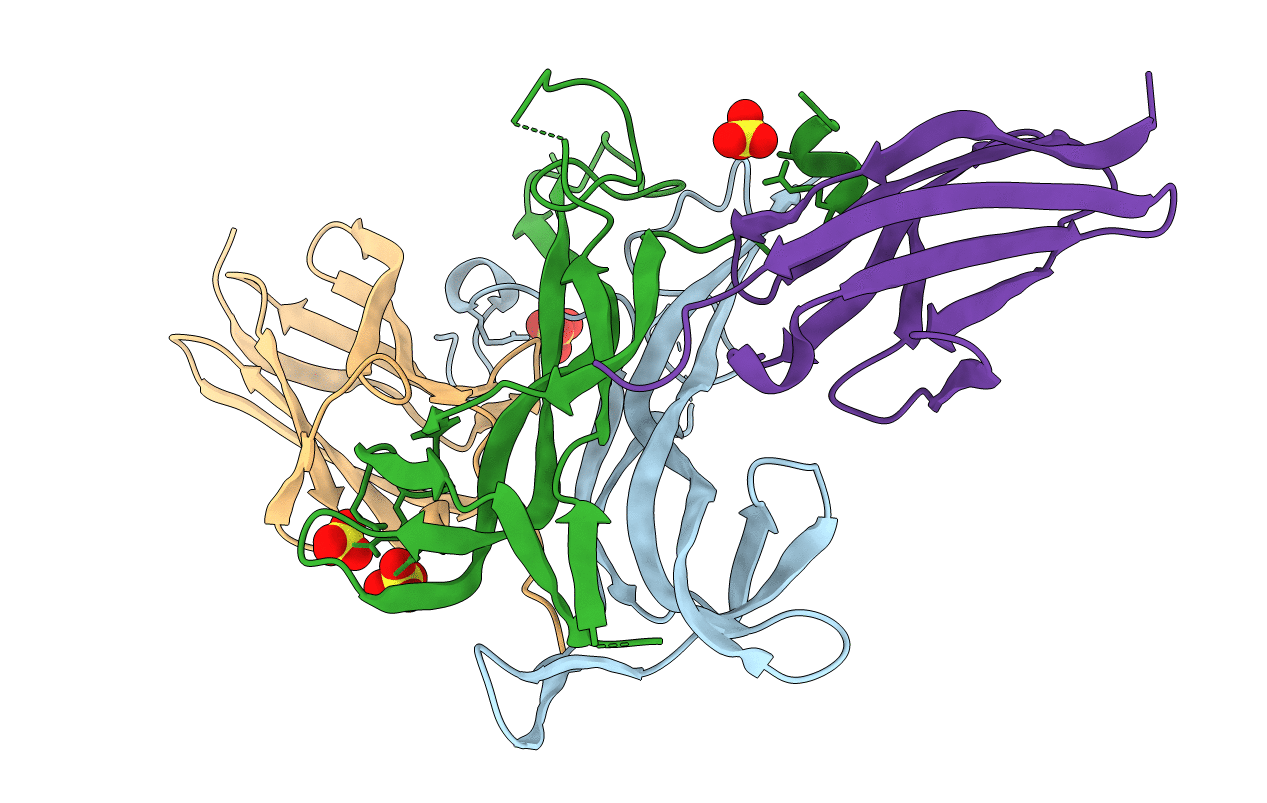 1HCF image