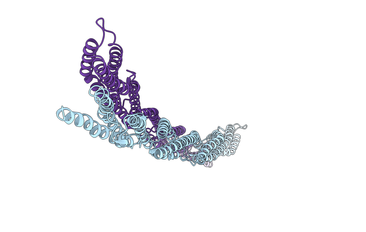 1HCI image