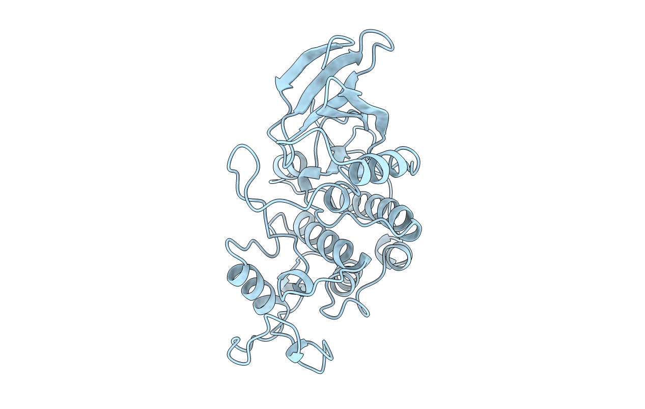 1HCL image