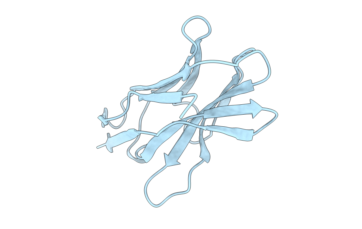 1HCV image