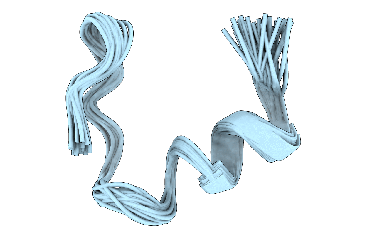 1HCW image
