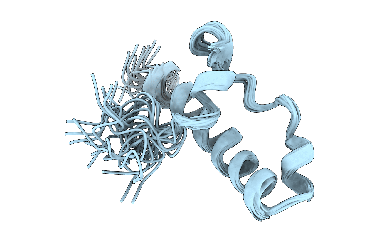 1HDL image