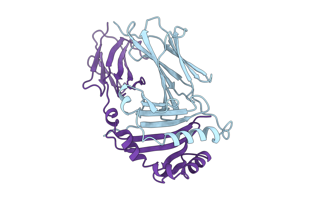 1HDM image