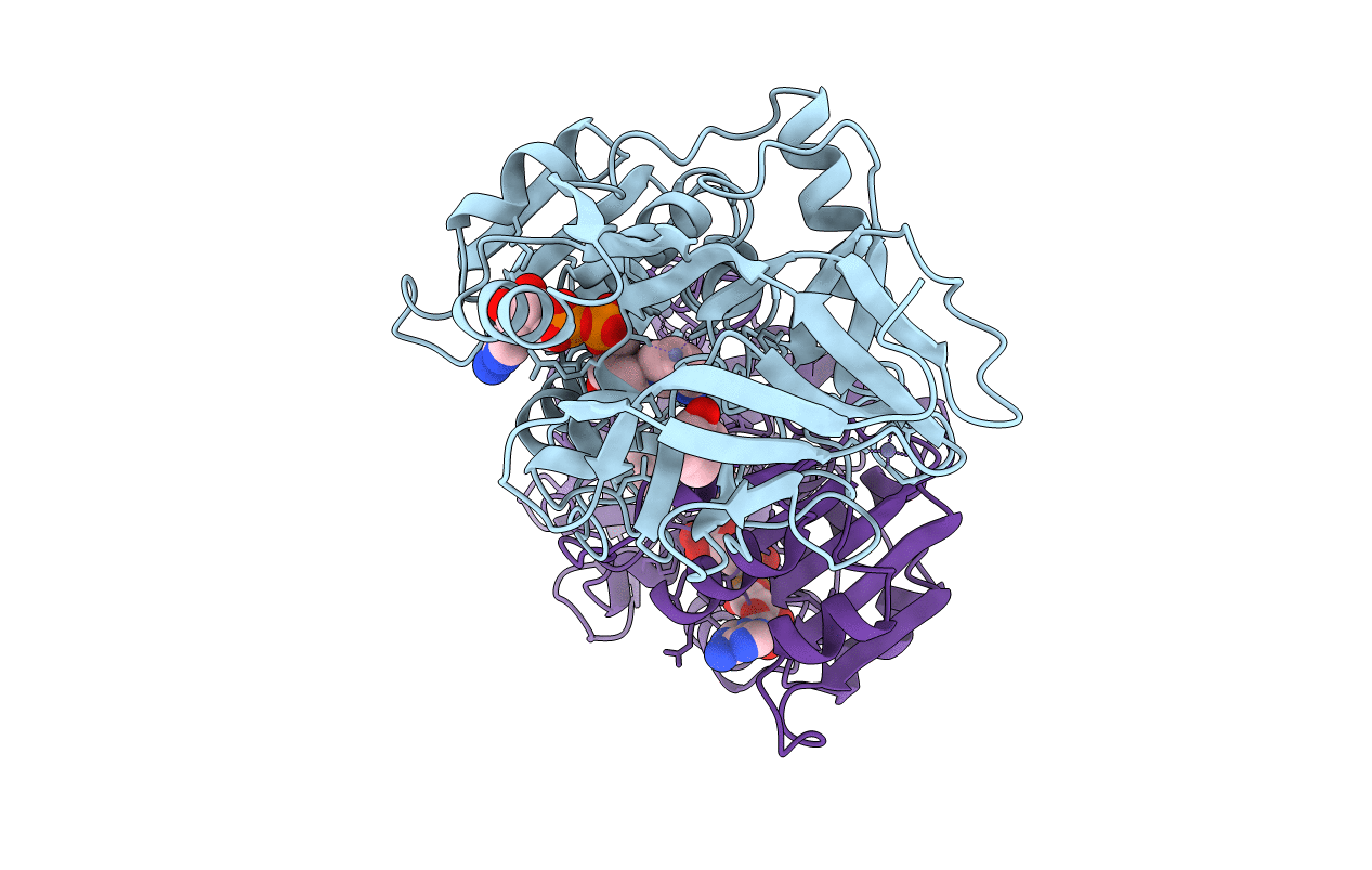 1HDX image