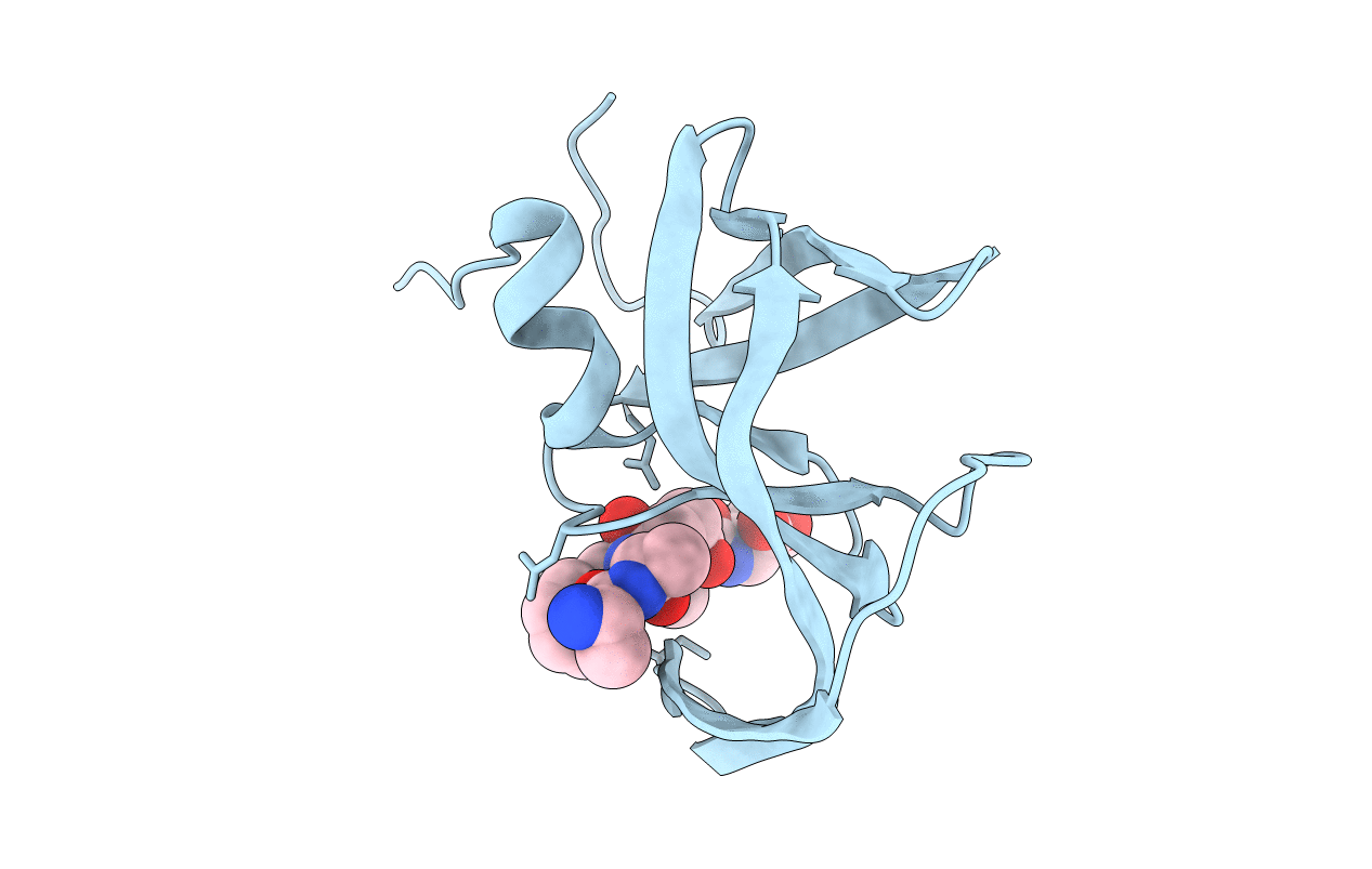 1HEG image