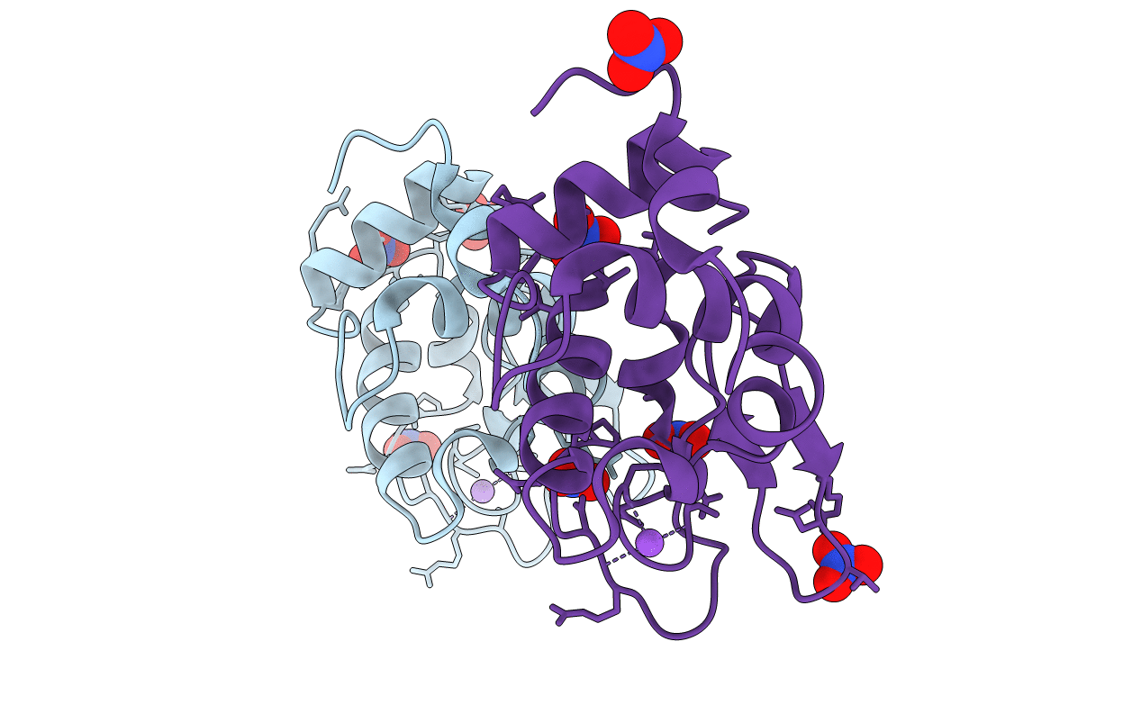 1HF4 image