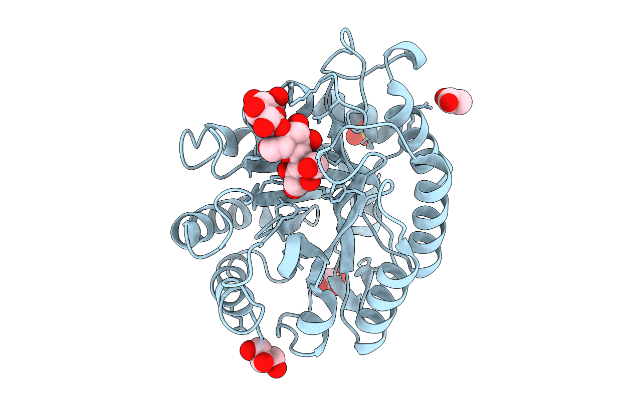 1HF6 image