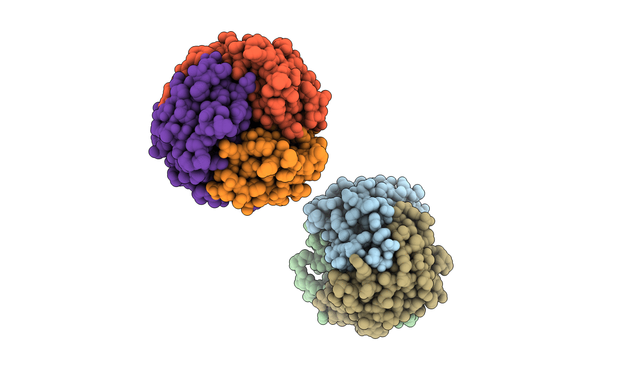 1HFO image