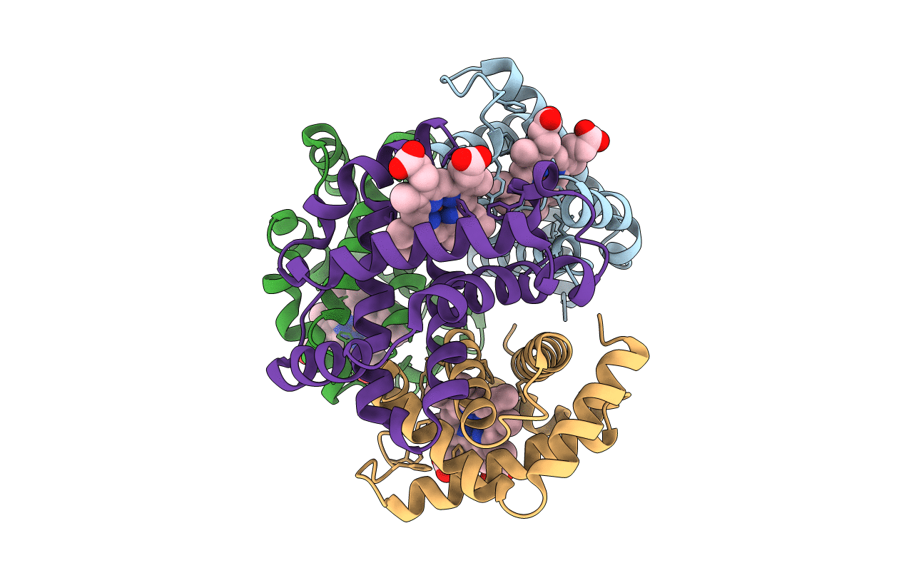 1HGB image