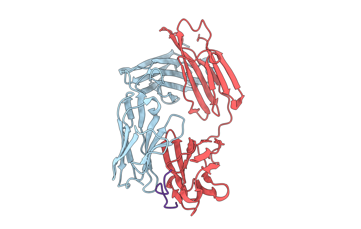 1HH6 image