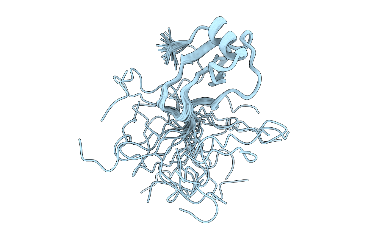 1HHV image