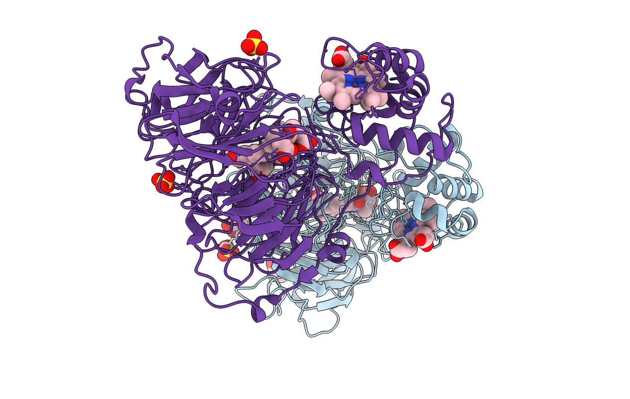 1HJ4 image
