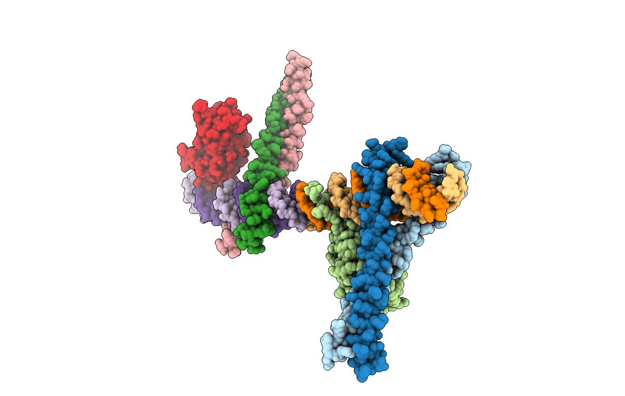 1HJB image