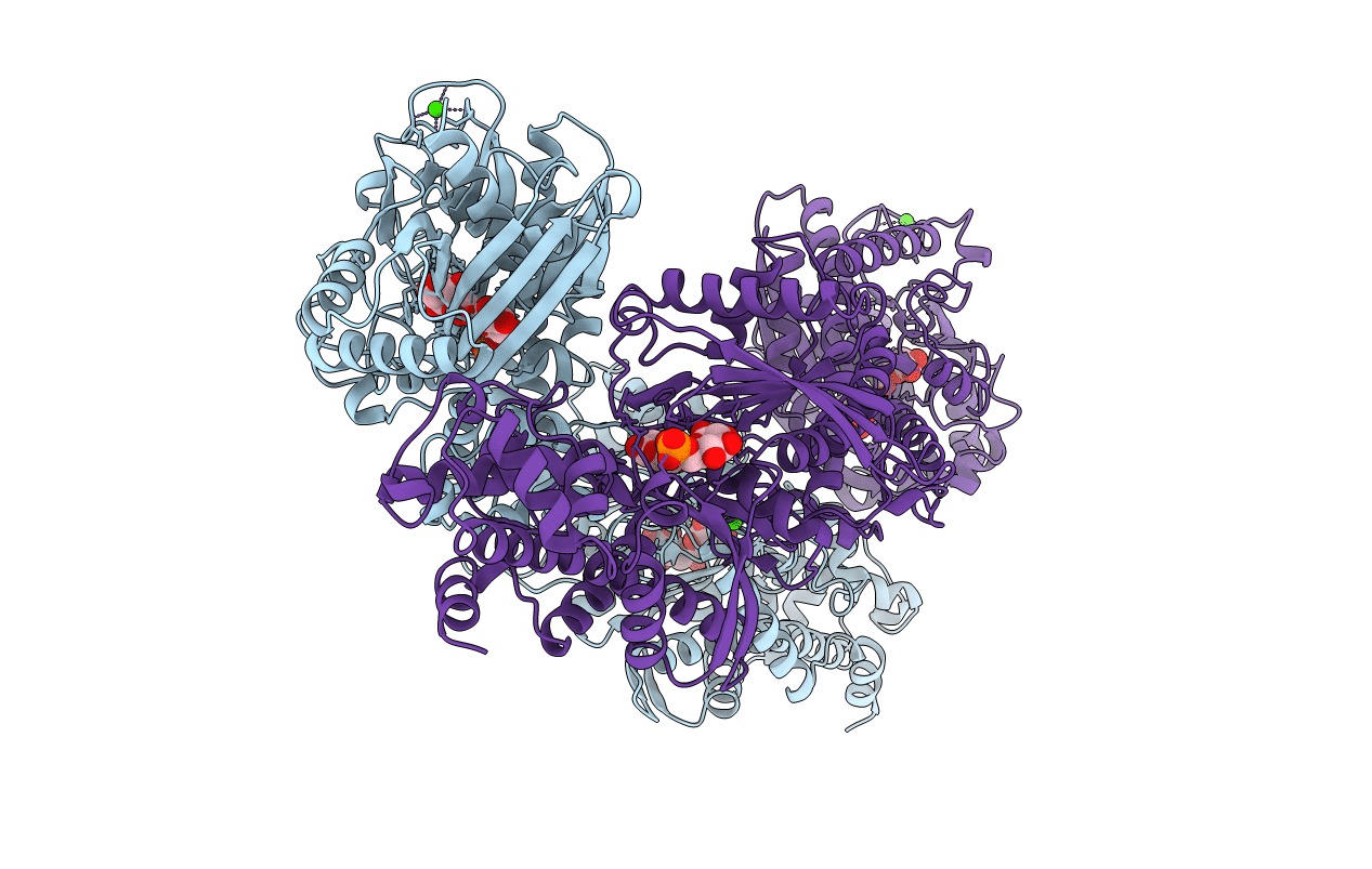 1HKB image