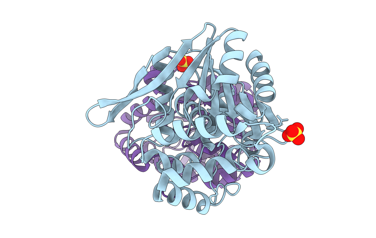 1HKH image