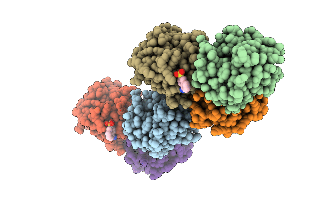 1HKN image
