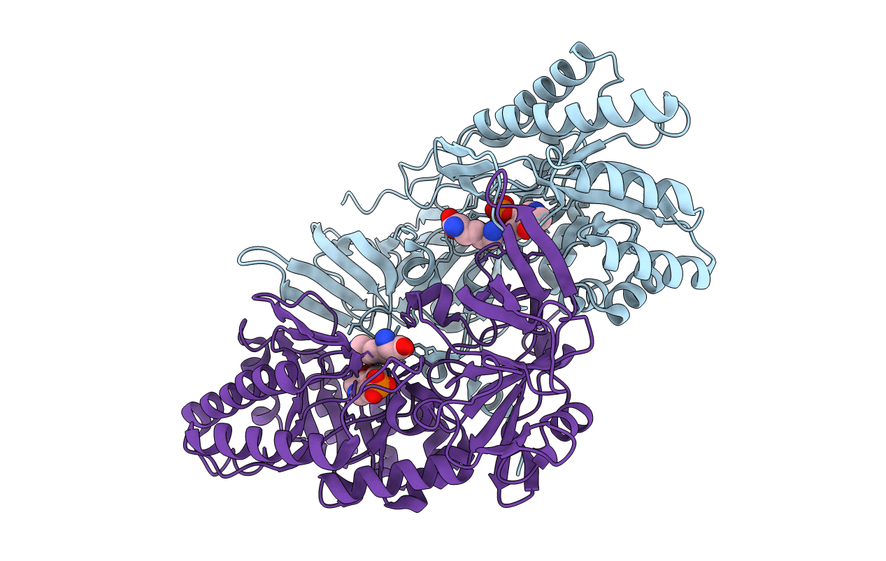 1HKV image