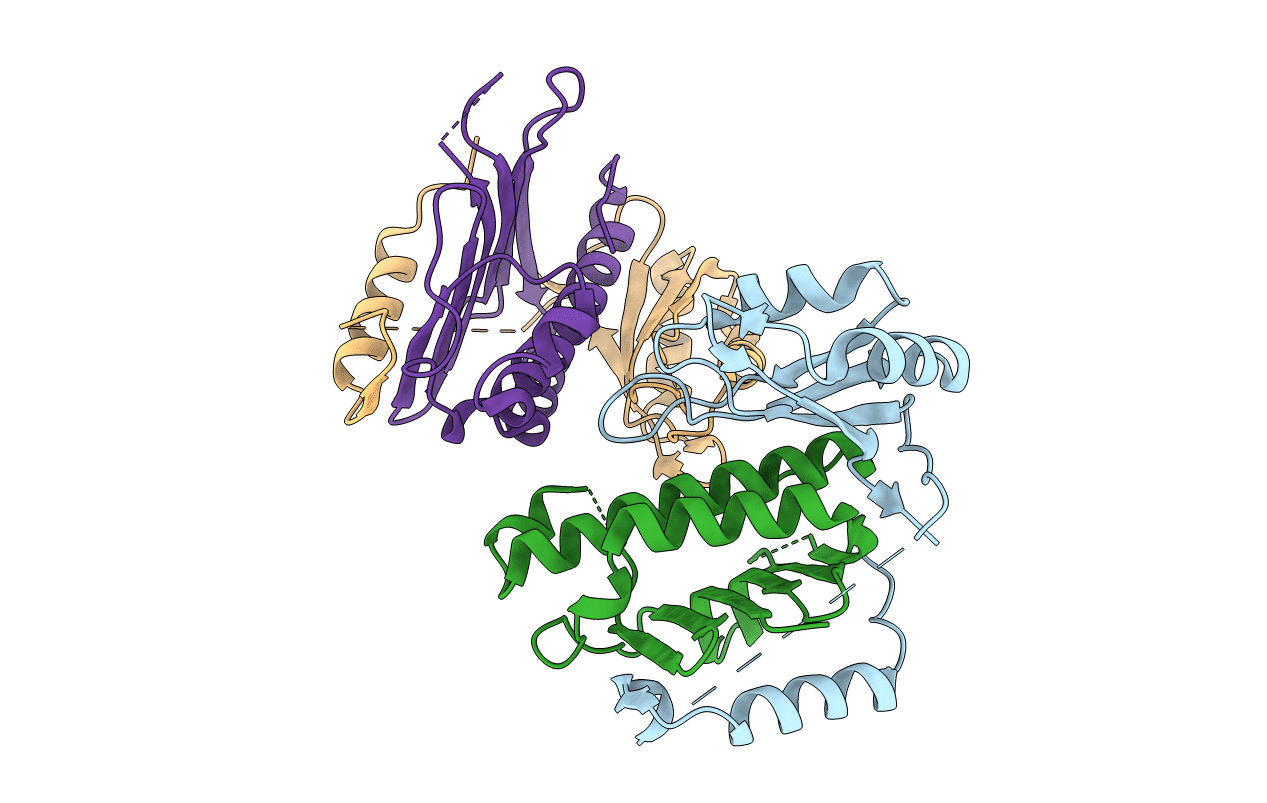 1HL6 image