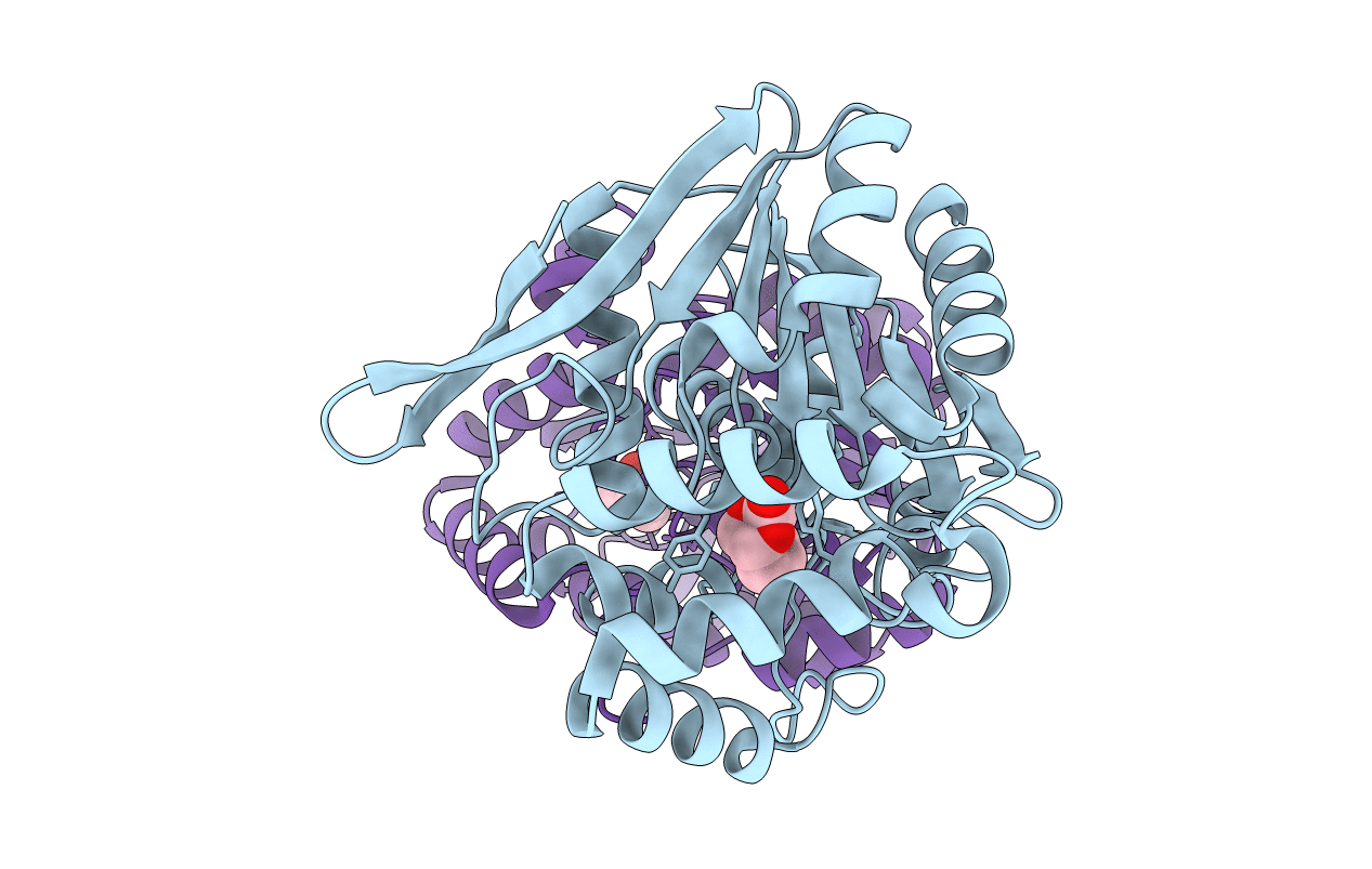 1HL7 image