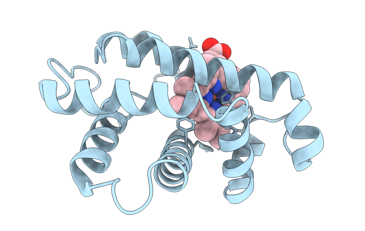 1HLB image
