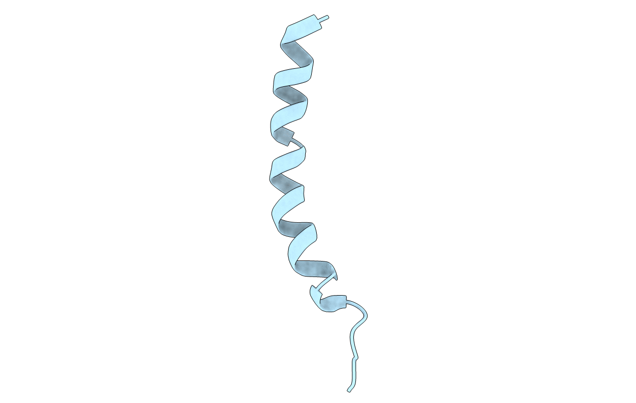 1HLL image