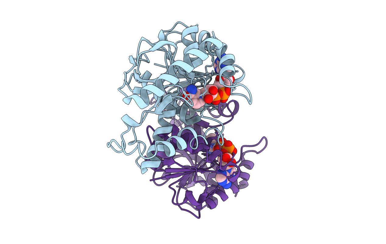 1HLP image