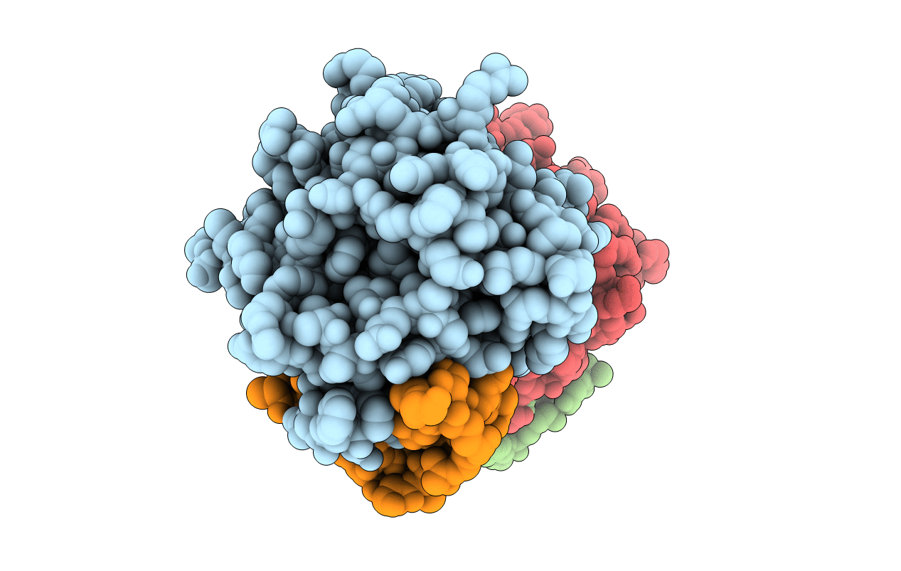 1HLT image