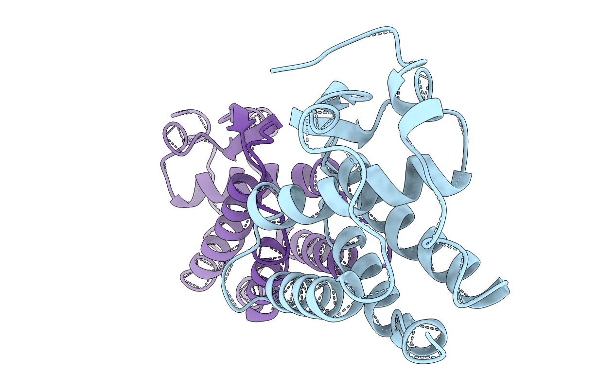 1HMC image