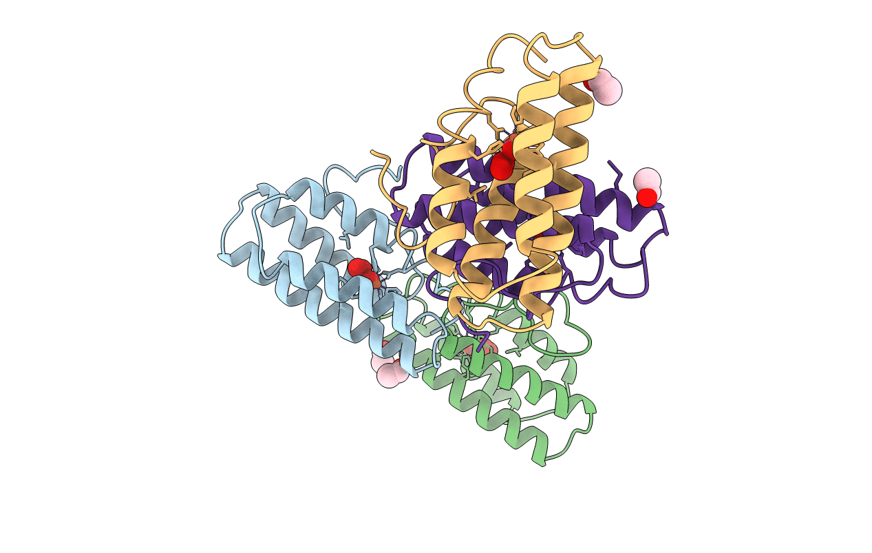 1HMO image